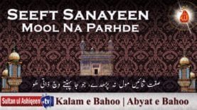 Seeft Sanayeen Mool Na Parhde