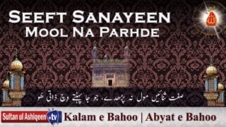 Seeft Sanayeen Mool Na Parhde