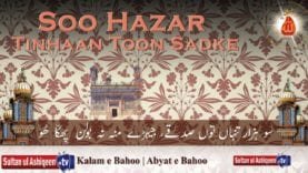 Soo Hazar Tinhaan Toon Sadke