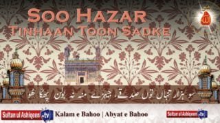 Soo Hazar Tinhaan Toon Sadke