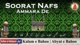 Soorat Nafs Ammara De