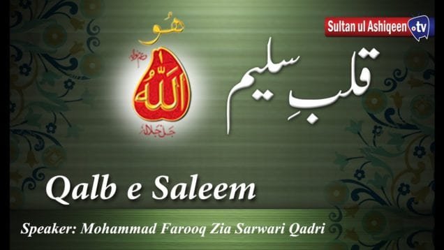 Speech: Qalb e Saleem