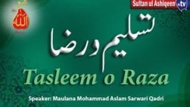 Speech: Tasleem o Raza