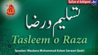 Speech: Tasleem o Raza