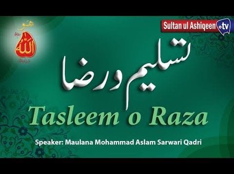 Speech: Tasleem o Raza