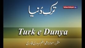 Speech: Turk e Dunya