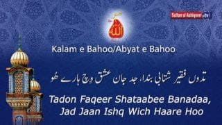 Tadoon Faqeer Shatabi Banda