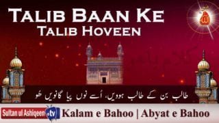 Talib Baan Ke Talib Hoveen