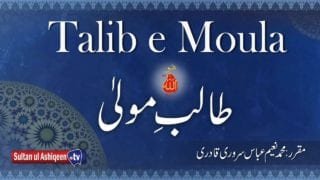 Talib e Moula