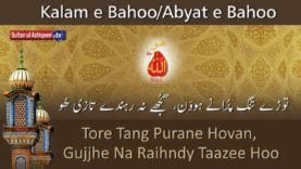 Tore Tang Purane Howan