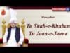 Tu shah e khuban tu jaane jaana