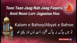 Tu Taa Jaag na Jaag Faqeera