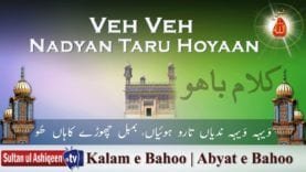 Veh Veh Nadyan Taru Hoyaan