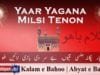 Yaar Yagana Milsi Tenon Sir Di Bazi Laien Hoo