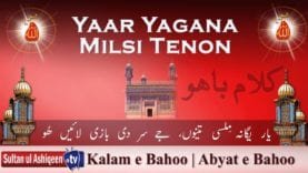 Yaar Yagana Milsi Tenon Sir Di Bazi Laien Hoo