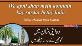 Naat || Wo apni shan mein kounain kay sardar bethy hain
