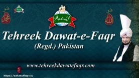 Sultan ul Ashiqeen Tv | Naat | is ujre Zamane no wasa ke