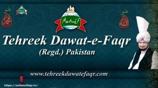 Sultan ul Ashiqeen Tv | Naat | is ujre Zamane no wasa ke