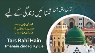 Sultan ul Ashiqeen TV | Naat | Tars rahi hai tmanain zindagi kylie