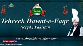 Sultan ul Ashiqeen Tv | Naat | Saal Bhar Dekhi Nahi Ha