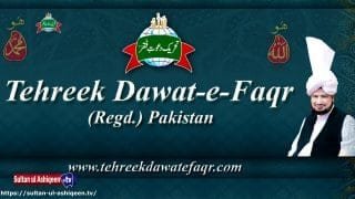 Sultan ul Ashiqeen Tv | Naat | Saal Bhar Dekhi Nahi Ha