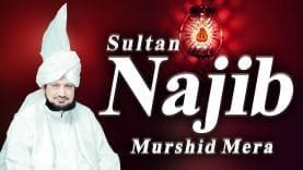 Sufi Kalam 2020, kalam e bahoo