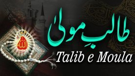 Talib e Moula