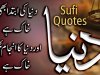 Motivational Quotes | Sufi Quotes | Quotes of Sultan ul Ashiqeen
