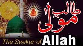 Sultan ul Ashiqeen Quotes On Seeker of Allah