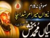 Kalam Mian Mohammad Bakhsh (ra) Main Neewan Mera Murshid Ucha