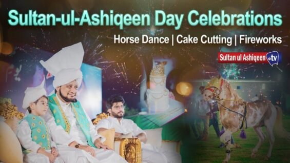 Sultan-ul-Ashiqeen Horses