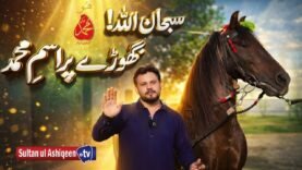 Sultan-ul-Ashiqeen Horses Noorani Ghora Ism-e-Mohammad (pbuh) Ka Roohani Raaz