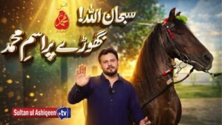 Sultan-ul-Ashiqeen Horses Noorani Ghora Ism-e-Mohammad (pbuh) Ka Roohani Raaz