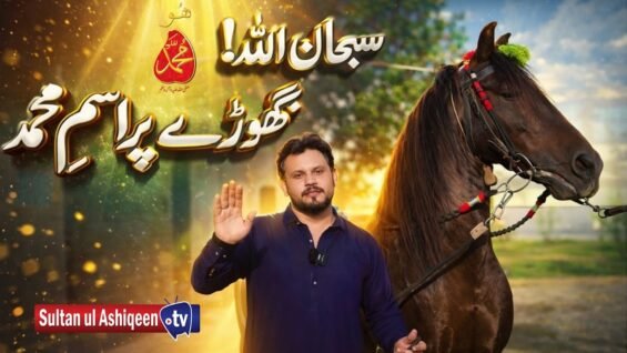 Sultan-ul-Ashiqeen Horses | Noorani Ghora |Ism-e-Mohammad (pbuh) Ka Roohani Raaz